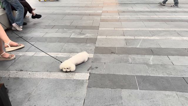 Пекин 2025 🌃 Город будущего - как Нью-Йорк, но по-китайски