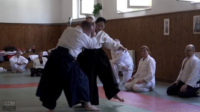 Aikido_ Stéphane Goffin in Split