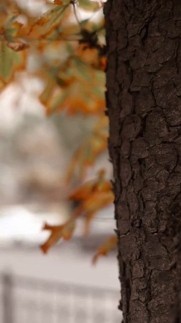Хотите продвижение соц.сетей?
Переходи по ссылке