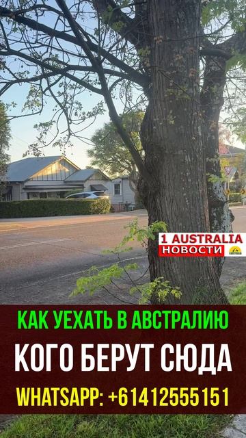 КАК УЕХАТЬ В АВСТРАЛИЮ КОГО БЕРУТ СЮДА. 1Australiashort1530