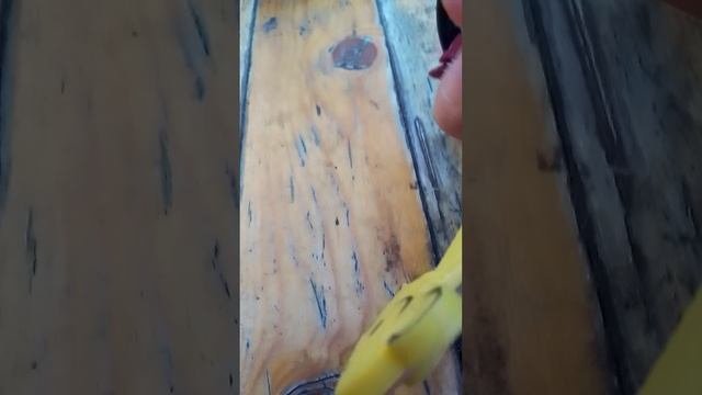 VID_20251004_151710.mp4