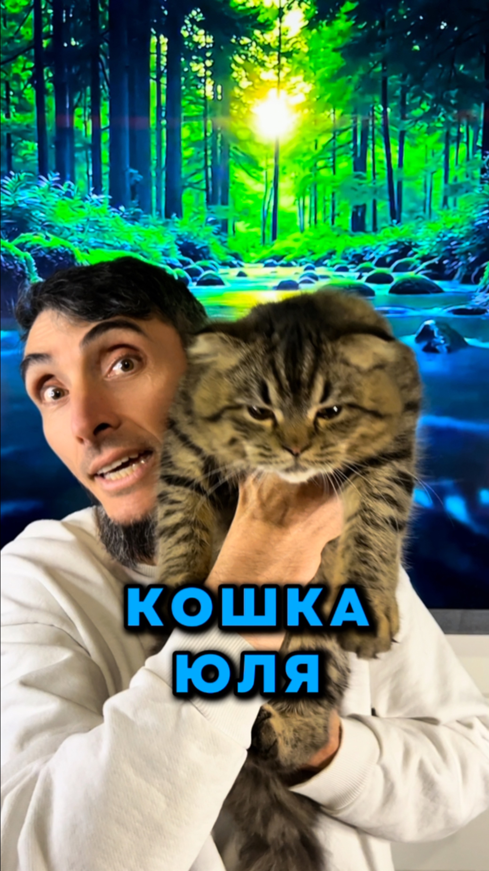 Кошка Юля