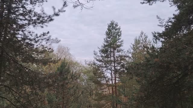 Далеко ли от начальника до культуры? Почему молчат люди?..