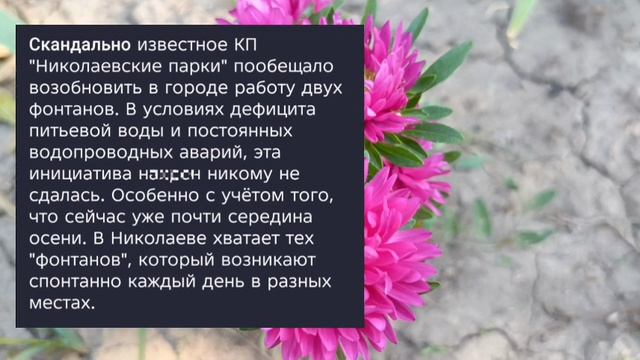 Николаев 4 октября 2025 года (новости)