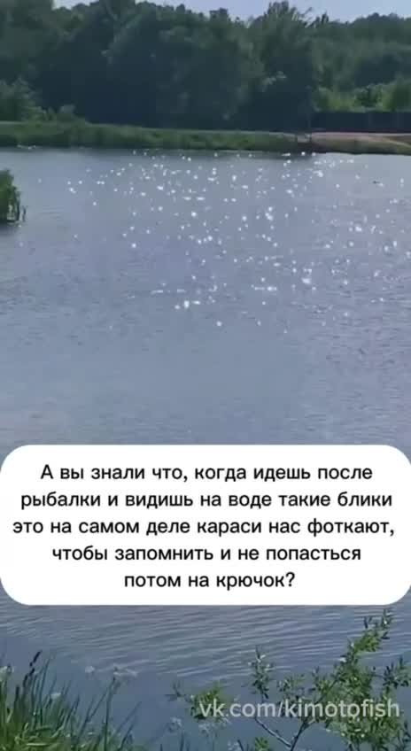 Невероятно, но факт! 😂