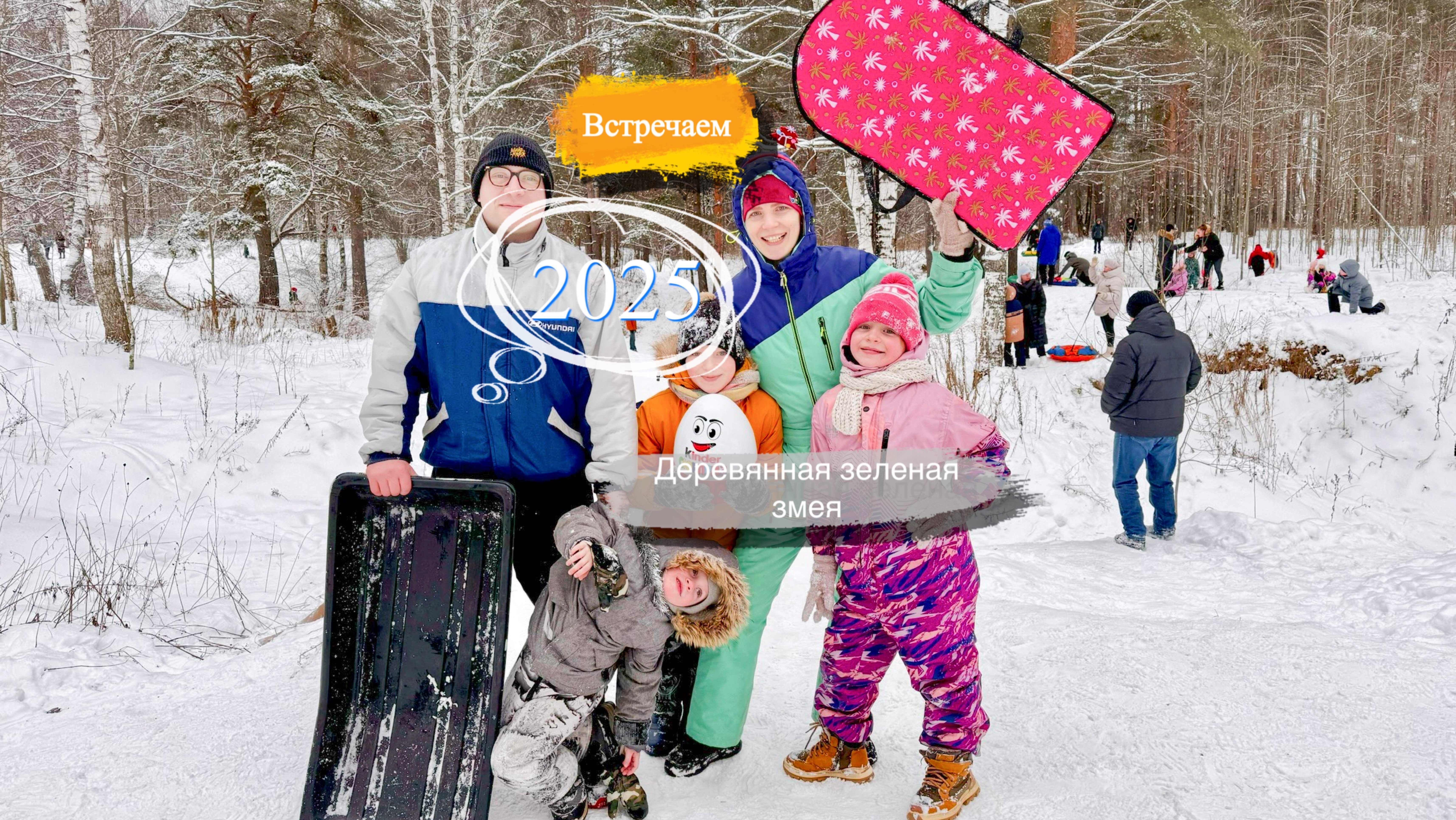 Новый год во Флориде 2025 Год деревянной зеленой змеи Гороскоп Пожелания Подарки Что подарить на НГ