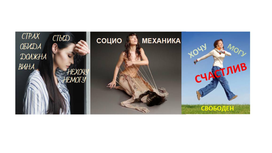 Социомеханика и курс Дорога к себе