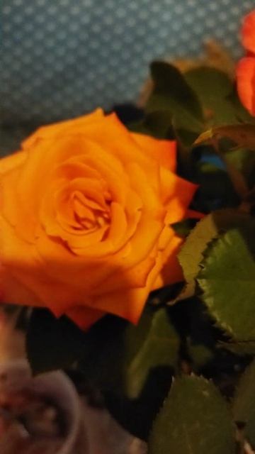 04-10-2025