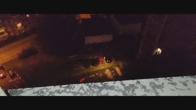 Мы идём гулять с собакой! | 4-июл-2024, 2