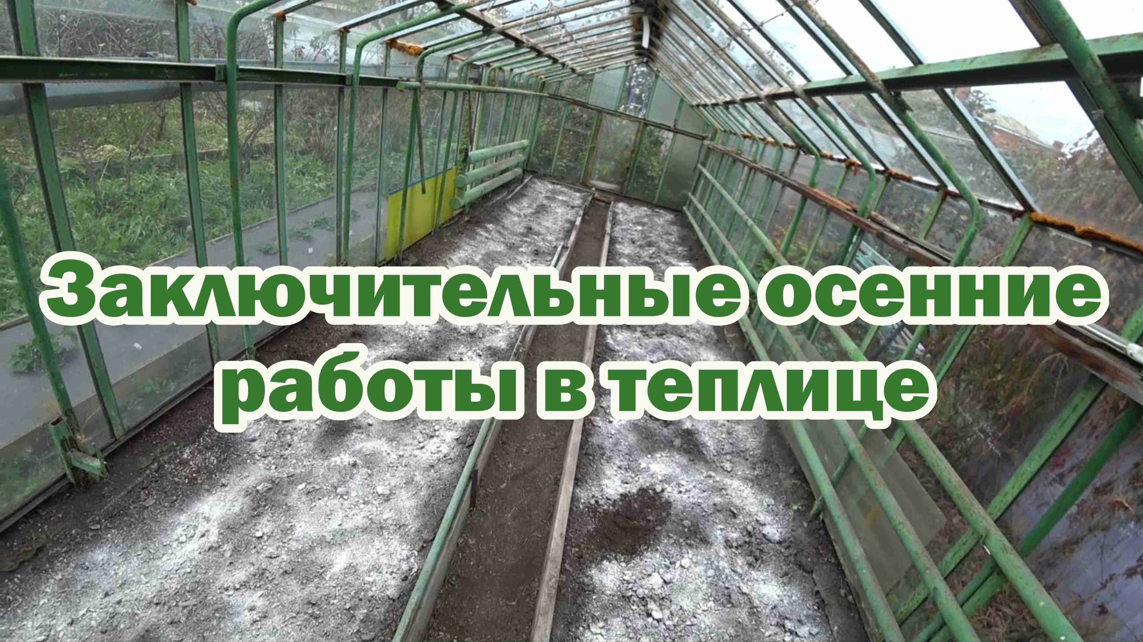 Заключительные осенние работы в теплице