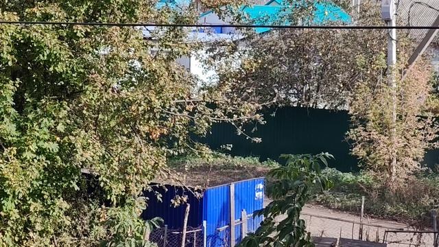 04-10-2025 смотрю на деревню