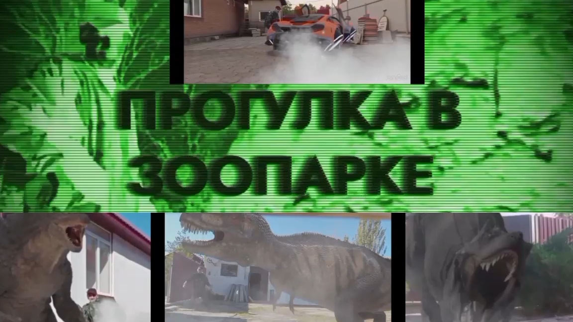 КОРОТКОМЕТРАЖНЫЙ ФИЛЬМ ( ПРОГУЛКА В ЗООПАРКЕ)