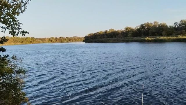 Пятый день рыбалки.