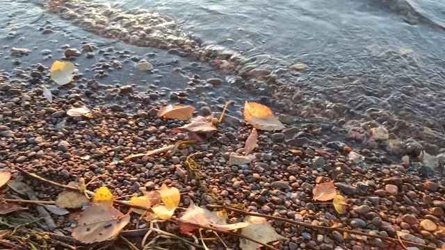 Октябрь на волнах заката ...☀️💦🍂