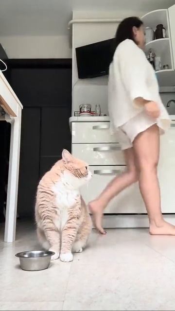 Когда про тебя совсем забыли..😿