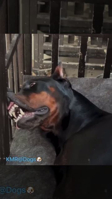 Дети высасывают из меня все соки🫠😂