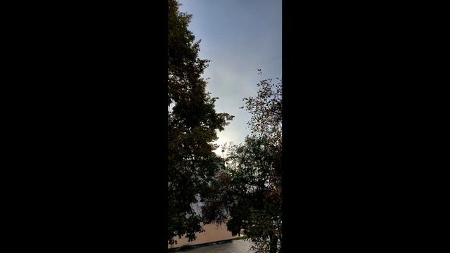 осенние зарисовки