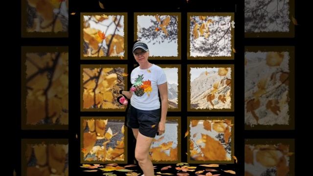 времена года