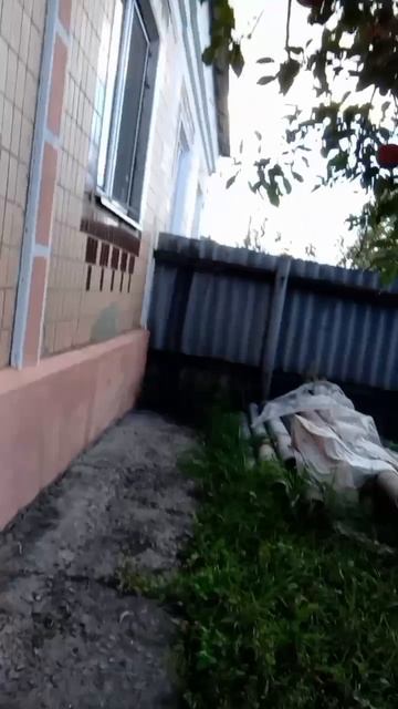 Я приехал из Борисовки в Кустовое на природу и на шашлык.