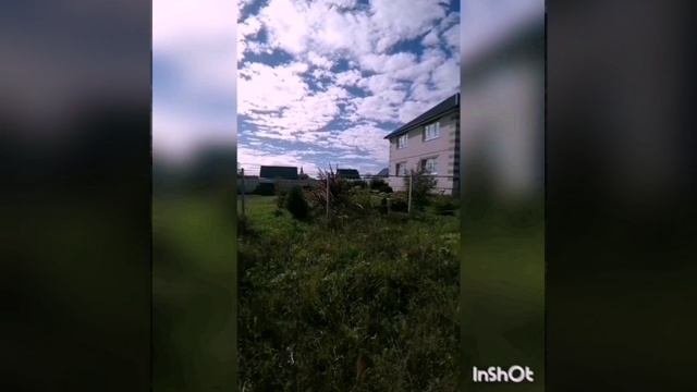 Document_5406887539560708369