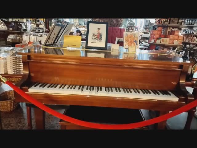 "Красоты Санкт-Петербурга" В магазине "Купцов Елисеевых". Звучат песни Елизаветы Лаптевой.