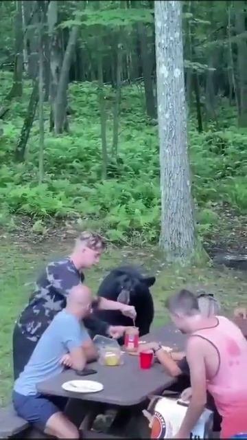Медведь с людьми за обедом
