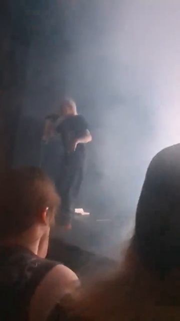Видео из «ТикТока»