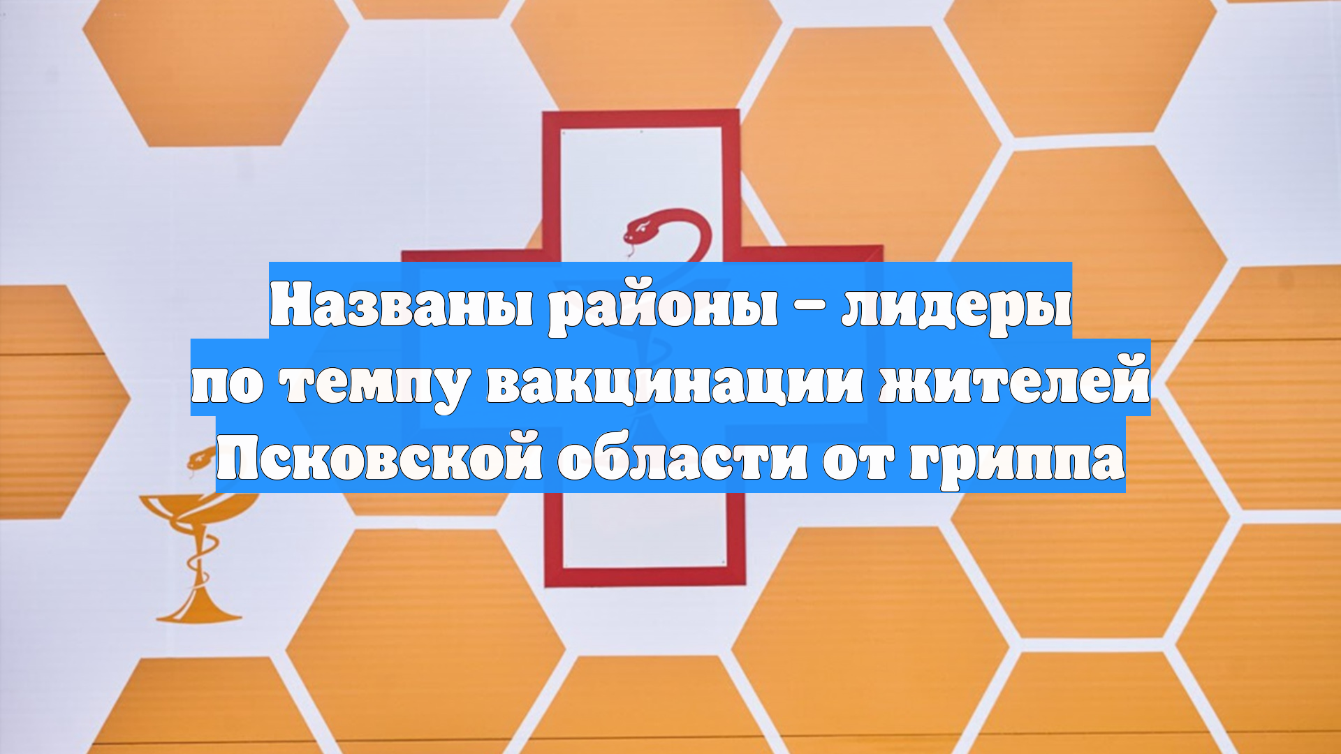 Названы районы – лидеры по темпу вакцинации жителей Псковской области от гриппа