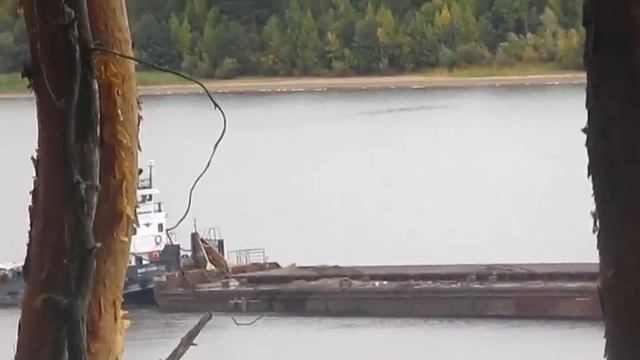 Голос твой родной -  Автор музыка и поёт Андрей Иванцов