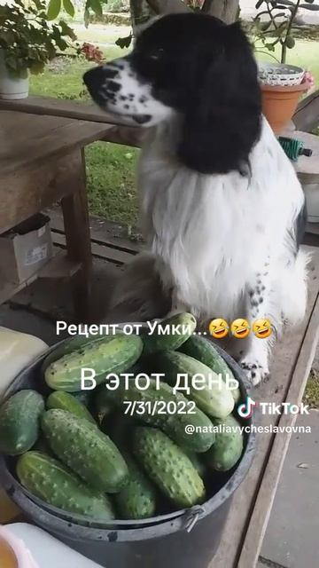 Всем привет!...)))
