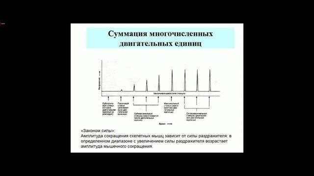 Лекция по нормальной физиологии 04.10.25