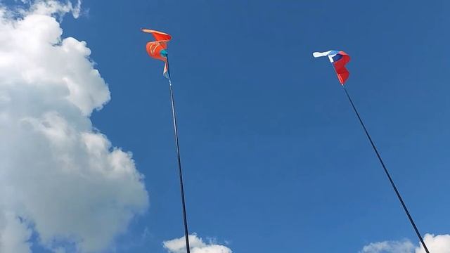 Подняли флаги на Слёте ветеранов российских студенческих строительных отрядов (1)