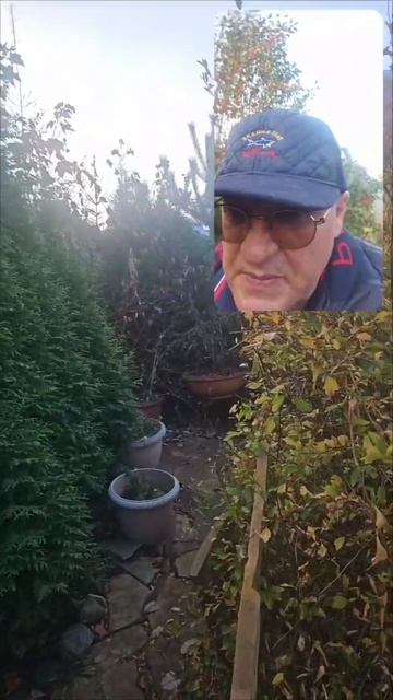 Золотая Осень!