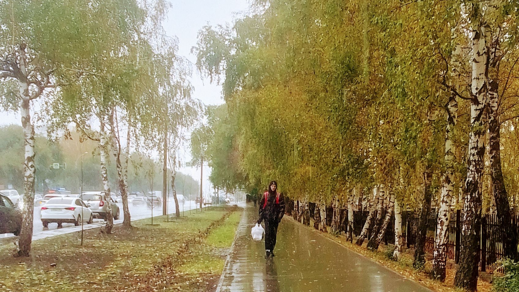 Первый снег🍂🍁❄🌧/ Новосибирск/04.10.2025