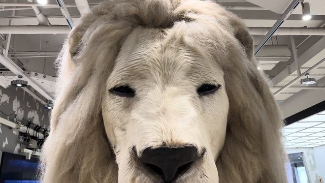 Футуристический Пекин 🤖 Роскошь, огни и атмосфера большого города