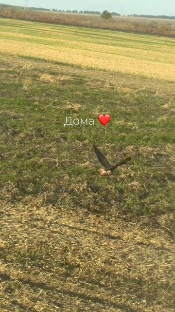Дом там, где твое сердце 🫶🏻