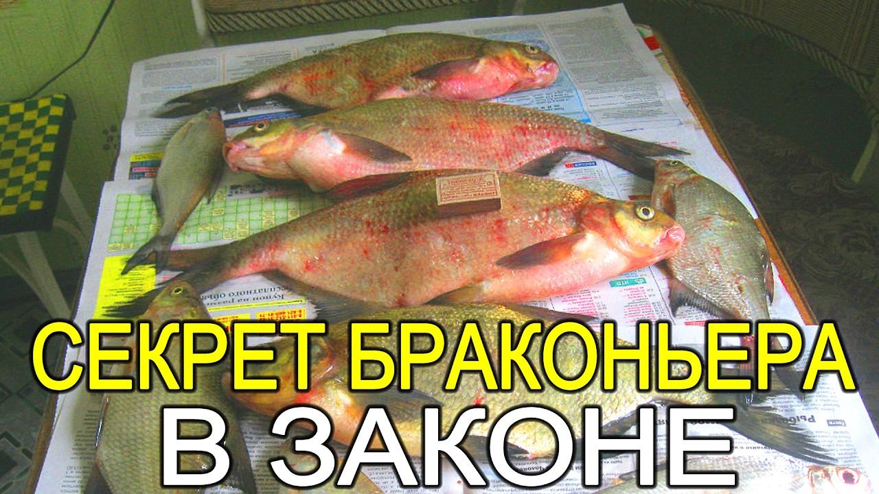 PRO Раннюю Ловлю Леща в Мае 2025 года на Удочку на Рыбалке СЕКРЕТ БРАКОНЬЕРА