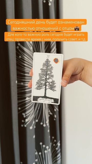 🌲#картадня #cardoftheday #таро #tarot #совет #таропрогноз #king #wild