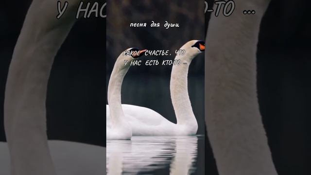 1000230958.mp4