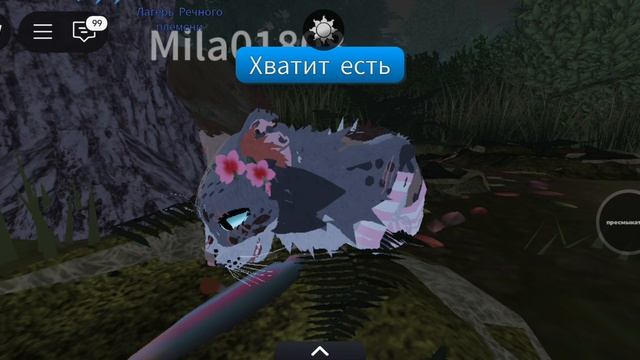 Жизнь 😭