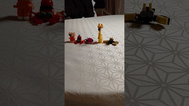 564.mp4