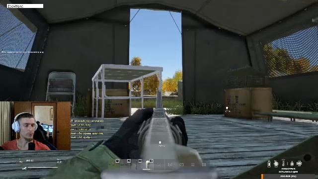 Dayz