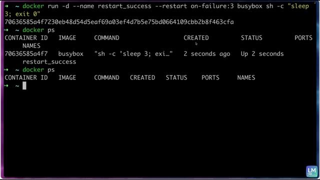 Docker и Kubernetes полный курс от нуля до героя - 11. Docker Advanced Topics