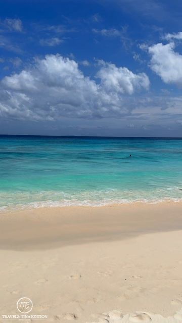 Восхитительный пляж Grand Anse. The stunning Grand Anse beach. сейшелы seychelles beach shorts