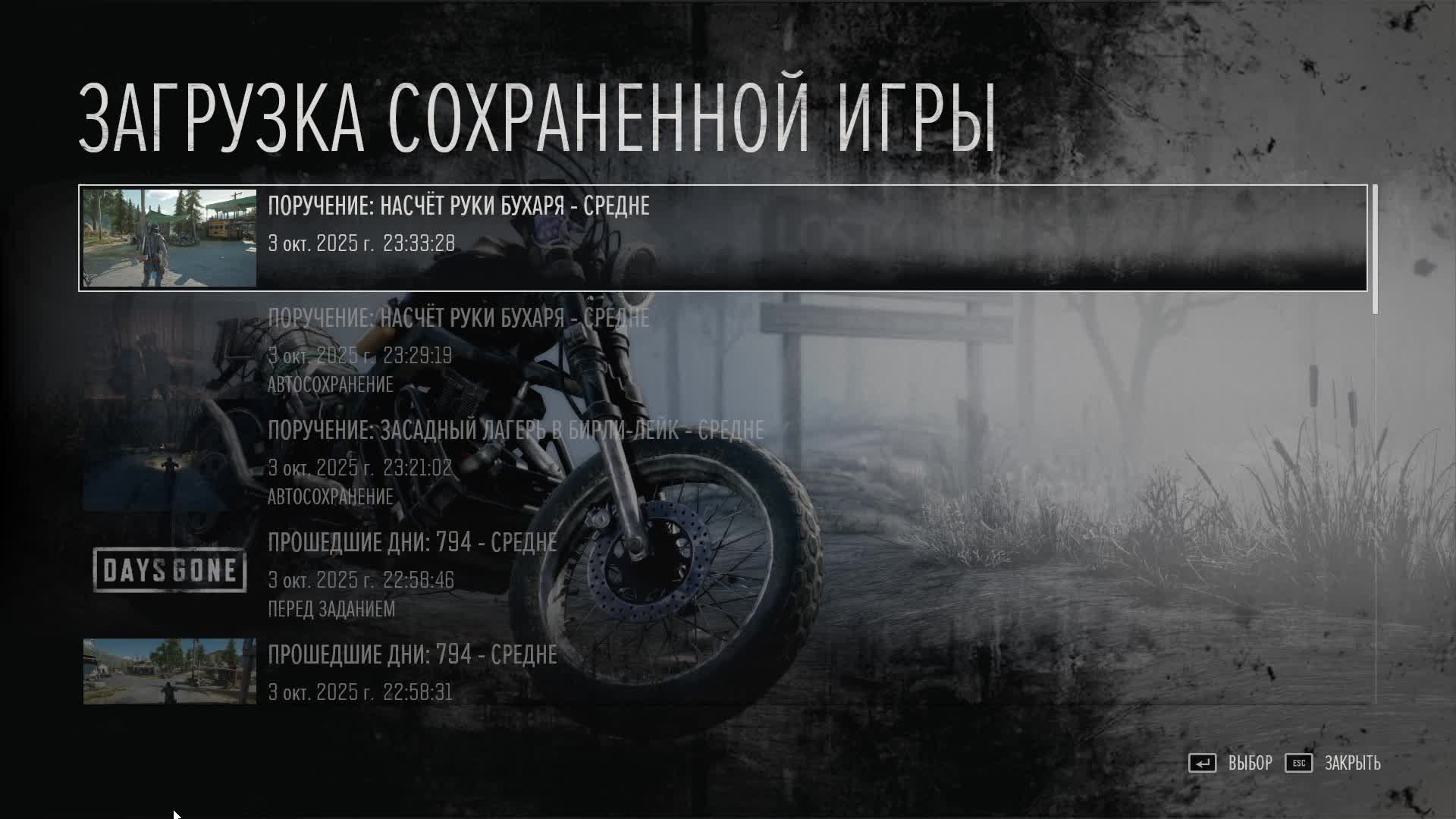Days Gone 21