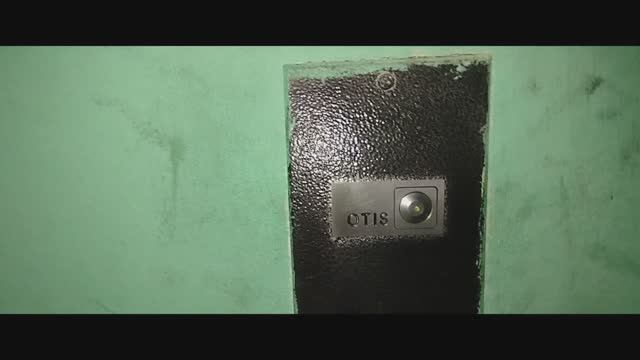 Мы идём гулять с собакой! | 4-июл-2024