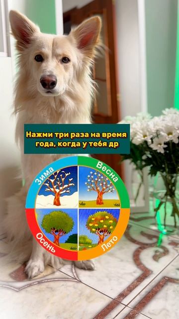 У Луны зимой, а у вас?😊