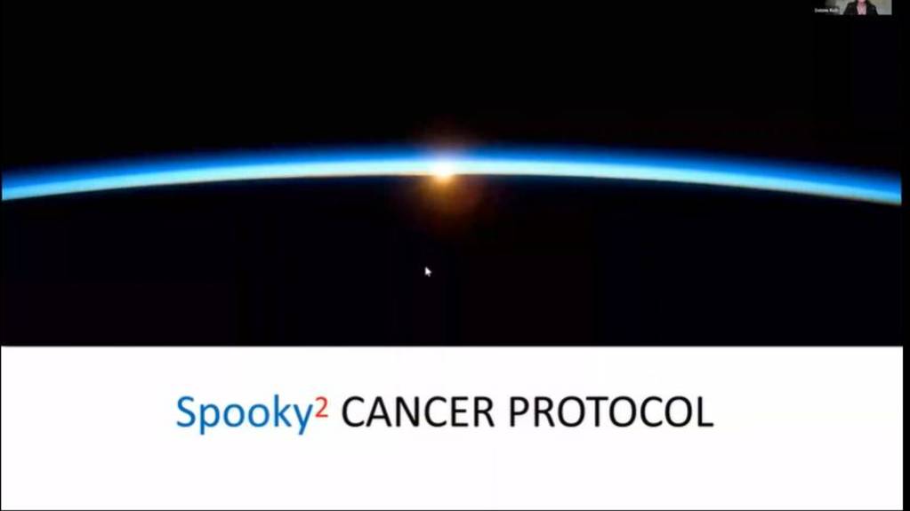 Debbie Rich's Webinar - How Use Spooky2 Cancer Protocol(EN) - для перевода в яндекс-браузере