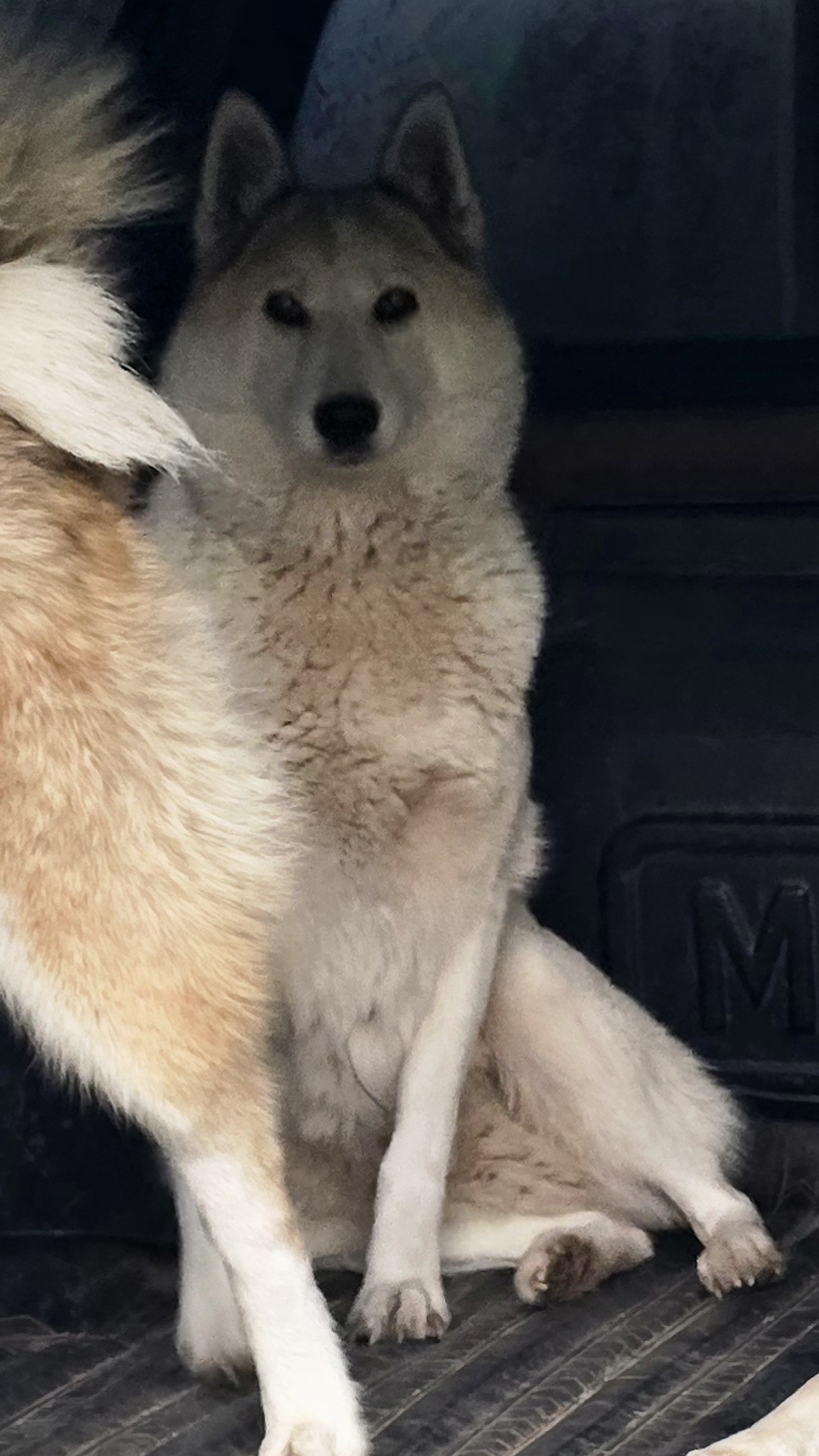 На месте