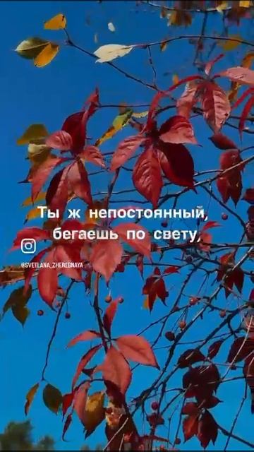 В подворотне осень с ветром танцевала...